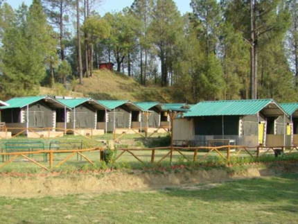 Shimla Adventure Nature Camp
