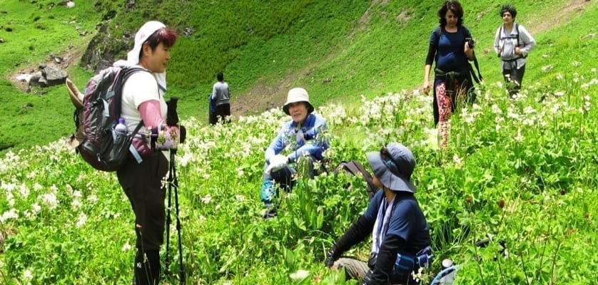 Valley of Flowers Trek